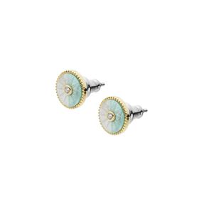 Fossil JF04065-710 Kadın Küpe
