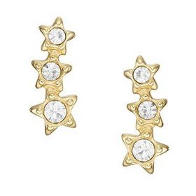Fossil JF04241-710 Yıldız Kadın Küpe