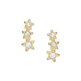 Fossil JF04241-710 Yıldız Kadın Küpe