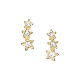Fossil JF04241-710 Yıldız Kadın Küpe