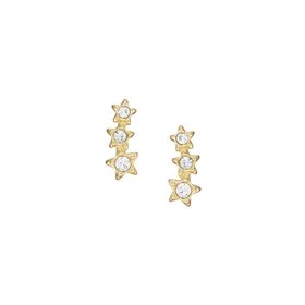 Fossil JF04241-710 Yıldız Kadın Küpe