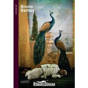FOTOCEP SERISI - 2 - BRUNO BARBEY