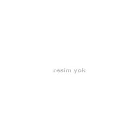 Franke Basis Granit BFG621 Renkli Eviye