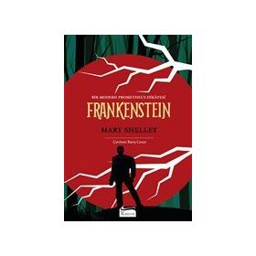 Frankenstein Bez Ciltli - Mary Shelley