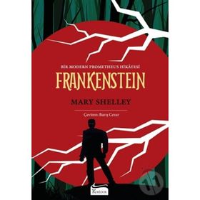 Frankenstein Bez Ciltli - Mary Shelley