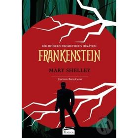 Frankenstein Bez Ciltli - Mary Shelley