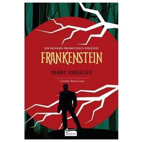 Frankenstein Bez Ciltli - Mary Shelley