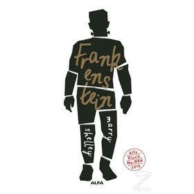 FRANKENSTEIN - MARY SHELLEY (ISBN:9789753854030)