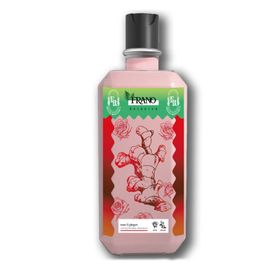 Frano Yıpranmış Saçlar için Gül ve Zencefil Yağı Özlü Onarıcı 400 ml Bitkisel Saç Bakım Şampuanı