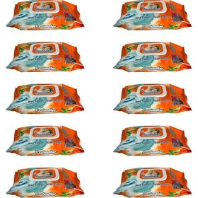 Freshmaker Çiçeksi Kokular 90 Adetlik 10 Paket Islak Mendil