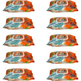 Freshmaker Çiçeksi Kokular 90 Adetlik 10 Paket Islak Mendil