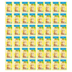 Friskies 48x85 gr Somonlu Soslu Yaş Kedi Maması