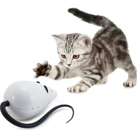 FroliCat Rolorat İnteraktif Kedi Oyuncağı