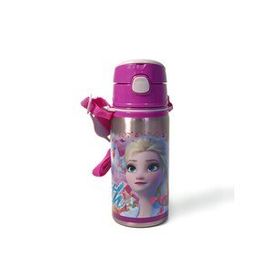 Frozen 42072 500 ML Hidden Truth Salto Çelik Matara