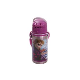 Frozen 42072 500 ML Hidden Truth Salto Çelik Matara