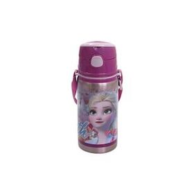 Frozen 42072 500 ML Hidden Truth Salto Çelik Matara