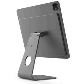 Fuchsia Apple iPad Pro 11 2022 M2 FS609 11 inç Gümüş Magnetik Tablet Standı