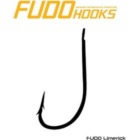 Fudo 5701 No 2 Limerick Black Nikel İğne