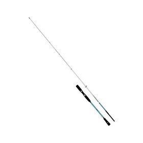 Fujin Bluegame 203 cm 60-140 gr Light Jig Kamışı