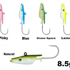 Fujin Salt Eel 8.5 gr Jig Head