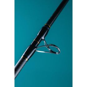 Fujin SeaForce 200 cm Tetikli Tekne Bot Kamışı
