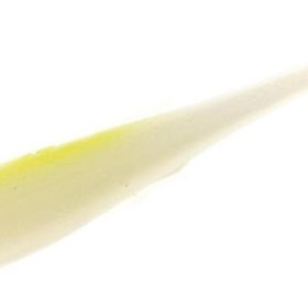 Fujin Shady 10 cm Clown Silikon Balık