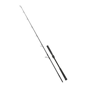 Fujin Valhalla Bigsea 178 cm 250 gr Speed Jig Live Bait Kamışı