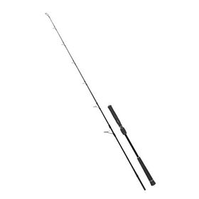 Fujin Valhalla Bigsea 178 cm 250 gr Speed Jig Live Bait Kamışı