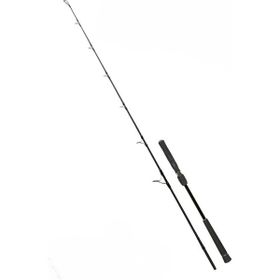 Fujin Valhalla Bigsea 178 cm 250 gr Speed Jig Live Bait Kamışı