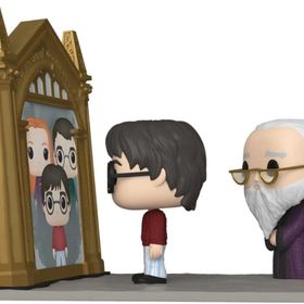 Funko 63144 Harry Potter Albus Dumbledore Erised Figür