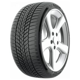 Funtoma 195/55 R16 87H Roadfun Winter Kış Lastiği 2024