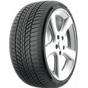 Funtoma 205/60 R16 92H Roadfun Kış Lastiği