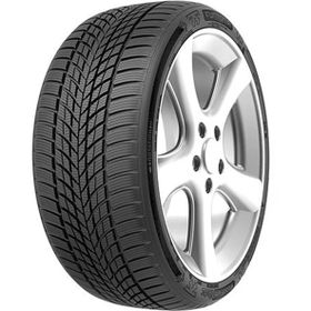 Funtoma 225/50 R17 98V RF RoadFun Winter Kış Lastiği 2024