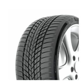 Funtoma 225/50 R17 98V RoadFun Winter Kış Lastiği