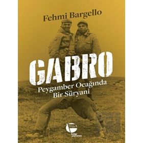 Gabro - Fehmi Bargello