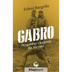 Gabro - Fehmi Bargello