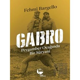 Gabro - Fehmi Bargello