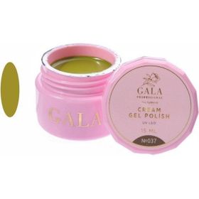 Gala Professional 15 ml No:037 Cream Oje