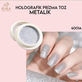 Gala Professional 4001-A Krom Prizma Toz