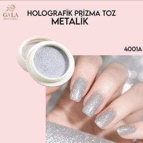 Gala Professional 4001-A Krom Prizma Toz
