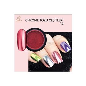 Gala Professional No:12 Krom Prizma Toz