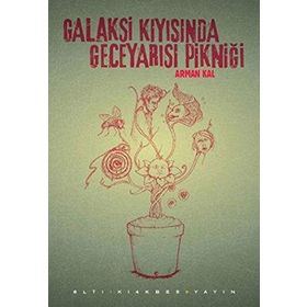 GALAKSI KIYISINDA GECEYARISI PIKNIĞI - ARMAN KAL