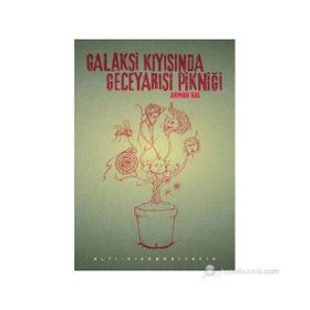 GALAKSI KIYISINDA GECEYARISI PIKNIĞI - ARMAN KAL