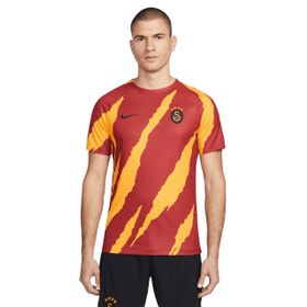Galatasaray DM1700-629 Nike Erkek Antrenman Kısa Kollu T-shirt