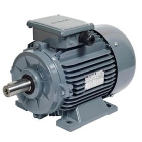 Gamak AGM 71 4A 0.25 kw Trifaze Elektrik Motoru