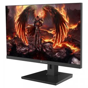 GameBooster GB-2419FF 23.8 inç 180Hz 1ms SS IPS FHD FreeSync G-Sync Flat Gaming Monitör