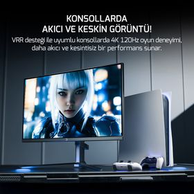 GamePower Rapid Dual 27 inç 320Hz 1ms IPS RGB Pivot Oyuncu Monitörü