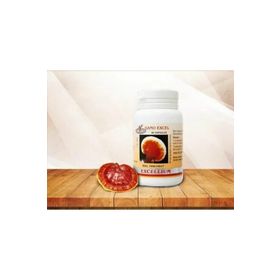 Gano Excel Excellium Ganoderma 90 Kapsül