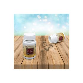 Gano Excel Ganoderma 90 Kapsül