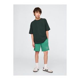 GAP 742934001 V-Frch Ft Logo Erkek Çocuk Şort